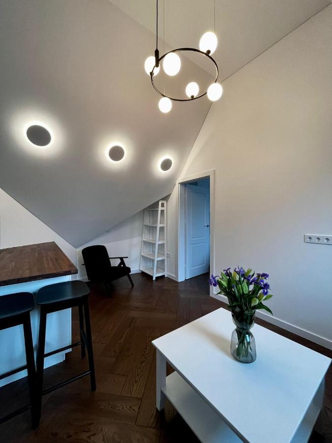 Cozy Apartment In The Center Of Vilnius Dış mekan fotoğraf